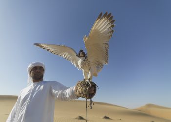 Iran Conflict Pushes UAE to Deepen Defence Ties and Pursue Greater Autonomy