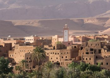 Houthis and Yemeni Government Forces Open New Fronts as Conflict Intensifies